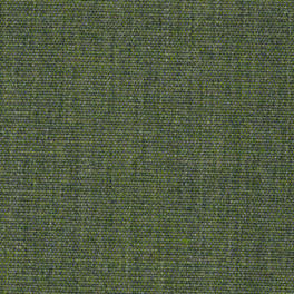 Canvas 974